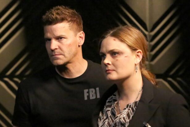 Emily Deschanel Has Never Seen Bones Costar David Boreanaz on Buffy