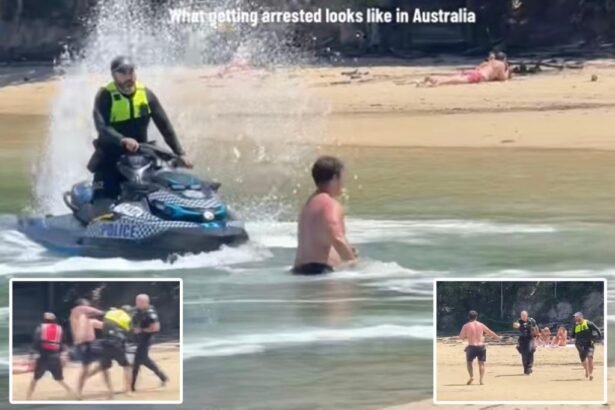 Erratic suspect leads police on wild ‘cat-and-mouse chase’ lasting several hours — before he’s captured in the water