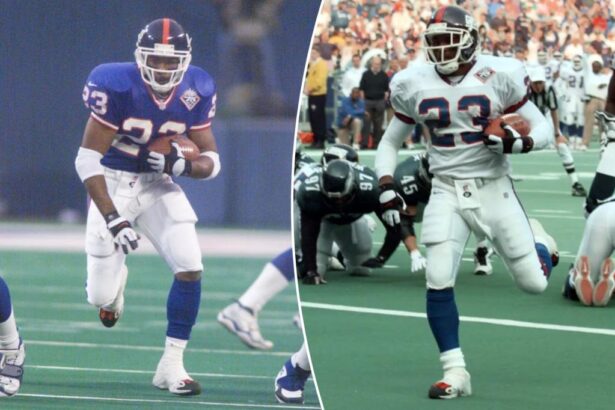 Ex-Giant LeShon Johnson allegedly ran dog-fighting operation