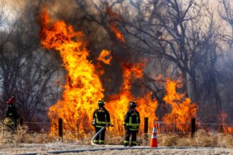 Fire danger “critical” in Denver, across state