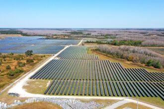 Florida is now a solar superpower. Here’s how it happened.