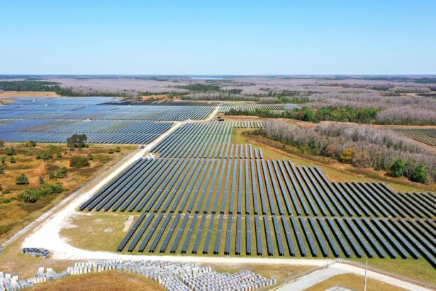 Florida is now a solar superpower. Here’s how it happened.
