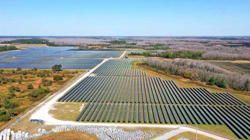 Florida is now a solar superpower. Here’s how it happened.