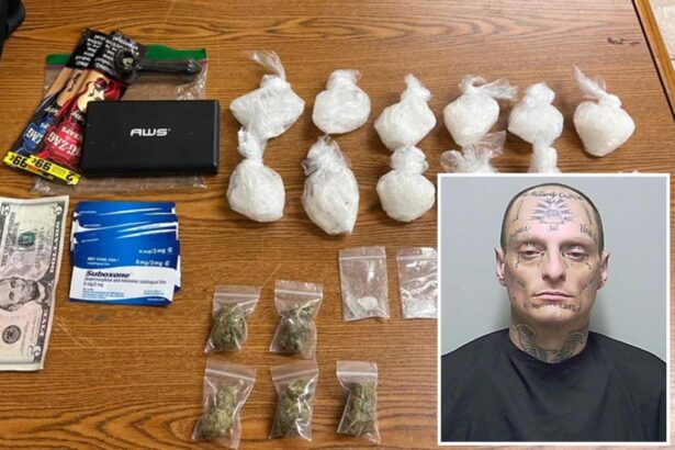 Florida man found with meth in his underwear tells police ‘there’s nothing wrong with drugs’