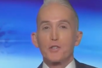 Fox News’ Trey Gowdy Takes A Bite Out Of Trump Policy With Movie-Themed Burn