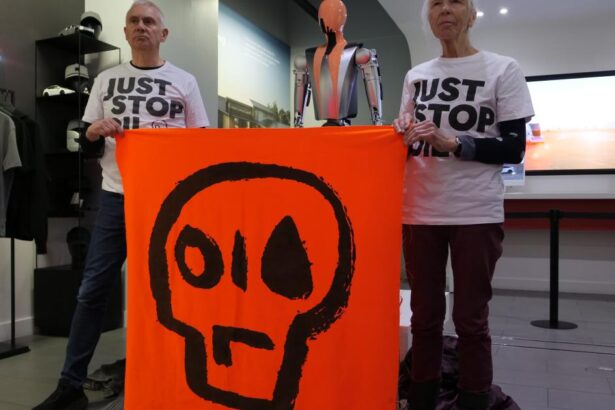 Has Just Stop Oil just stopped?