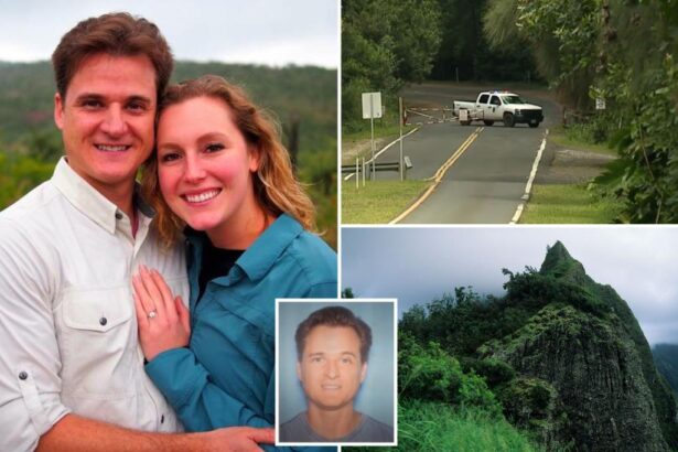 Hawaii doctor allegedly pushed wife from beauty spot for refusing to take a pic