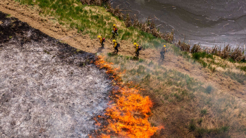 How Washington State pioneered an “all hands, all lands” wildfire prevention strategy