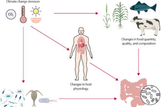 How climate change affects GI health