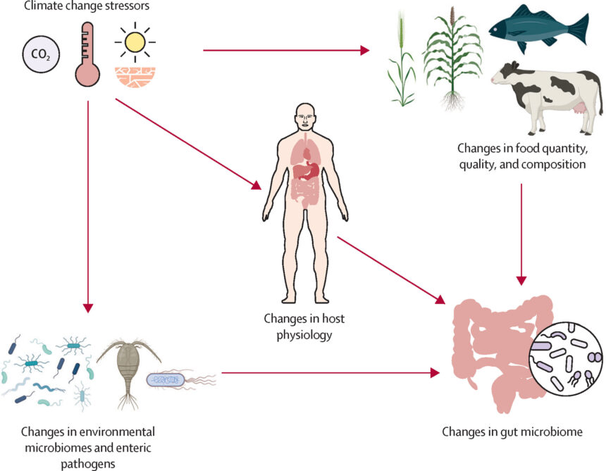 How climate change affects GI health