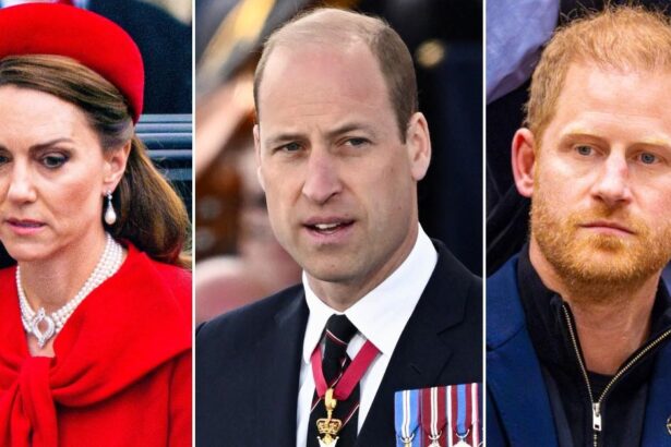 Kate Middleton ‘Has A Mission To Mend Rift Between Princes William and Harry’