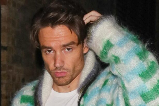Liam Payne was ‘Secret Drugs Counselor to Pals’