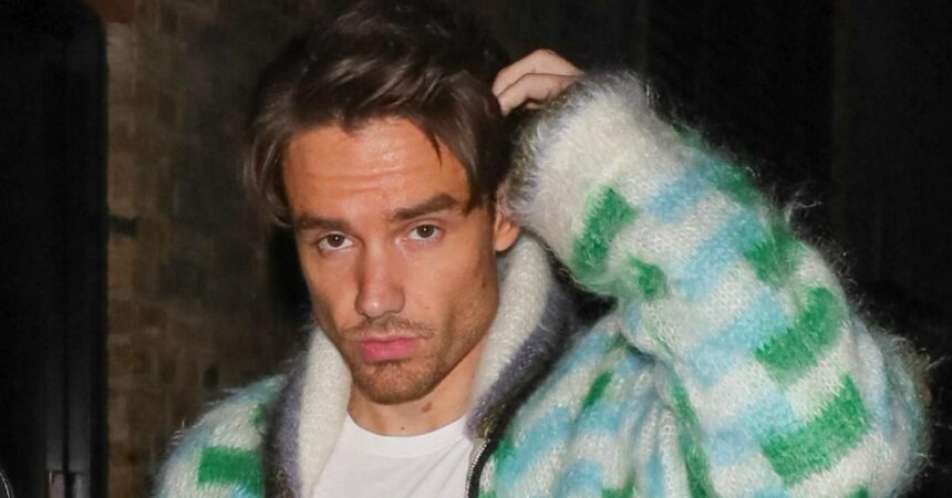Liam Payne was ‘Secret Drugs Counselor to Pals’