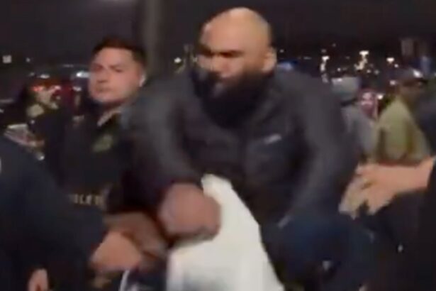 MLS Fan Sucker Punched In Wild Brawl After LAFC vs. San Diego FC Game