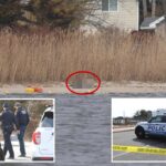 Man, 27, stabbed to death on Long Island’s Blue Point beach