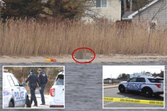 Man, 27, stabbed to death on Long Island’s Blue Point beach