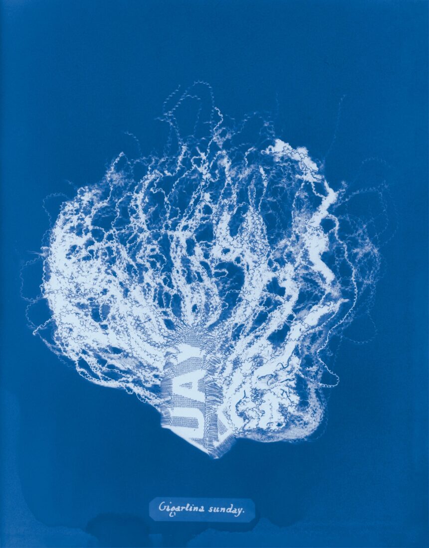 Mandy Barker’s Cyanotypes Revive a Pioneering Botanist’s Book to Warn About Synthetic Debris — Colossal