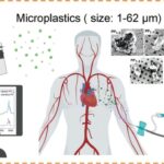 Medical infusion bags can release microplastics, study shows