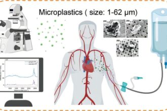 Medical infusion bags can release microplastics, study shows