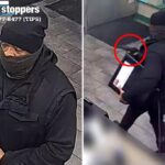 NYPD on hunt for fast food-loving robber