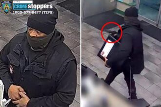 NYPD on hunt for fast food-loving robber