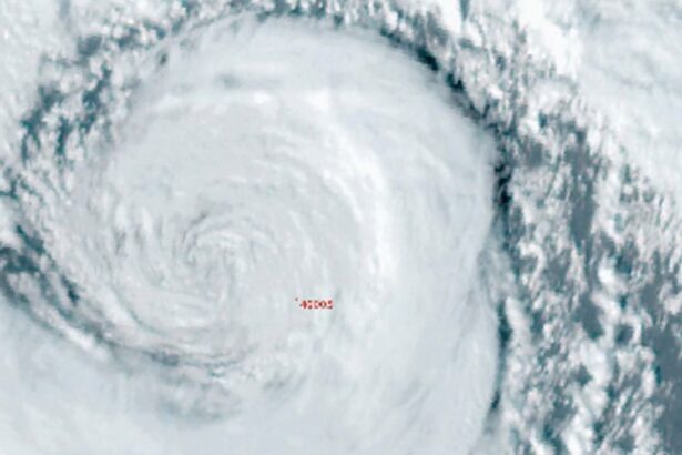 National Weather Service Worker Reminds ‘We Are Here To Protect Lives’ After Mass Firings