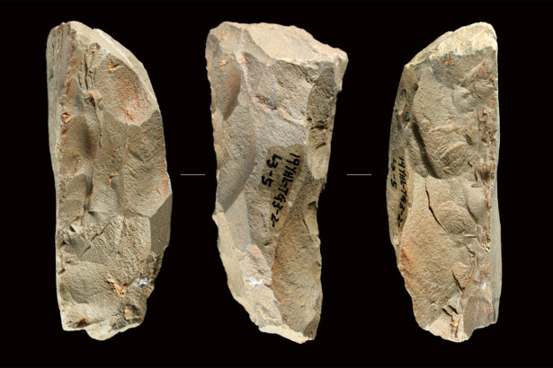 Neandertal-like tools found in China present a mystery