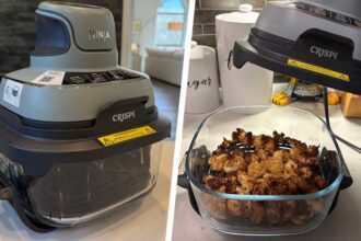 Ninja Crispi Review: Powerful, Portable Air Fryer With a Clear Twist