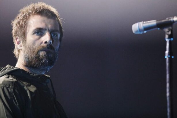 Liam Gallagher Could Come Face To Face With Love Child Next Month