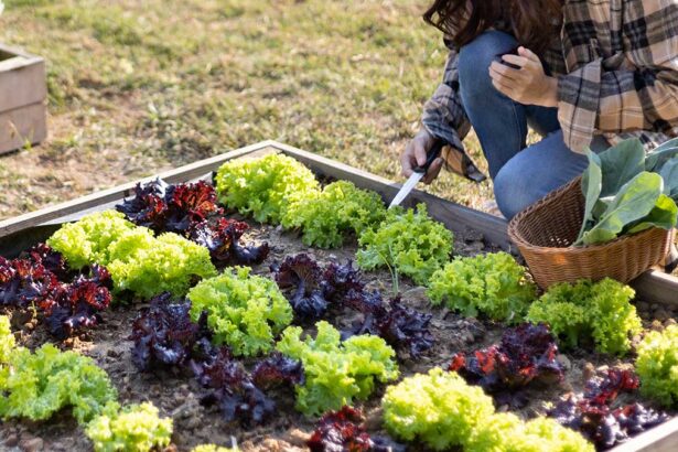 Organic Gardening: Ditch Pesticides for Good