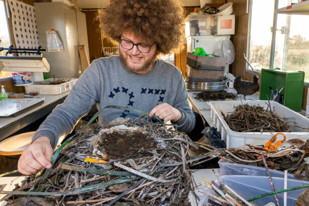 Plastic ‘fossils’ help scientists reconstruct the history of bird nests