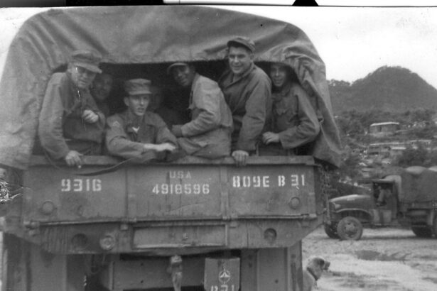 Pointless Wars – Econlib