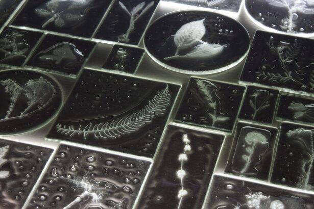 Rui Sasaki Encases Spectral Flowers in Intimate Glass Assemblages — Colossal