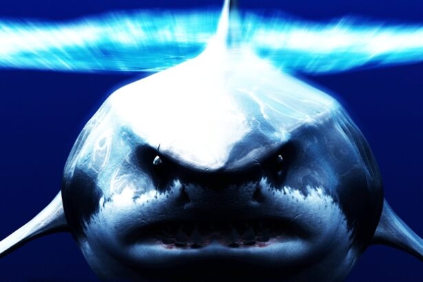 Scientists Reveal a Crucial Surprise About The Mega-Shark : ScienceAlert