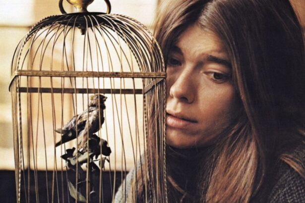 ‘Scream, Pretty Peggy’ Actor Was 78