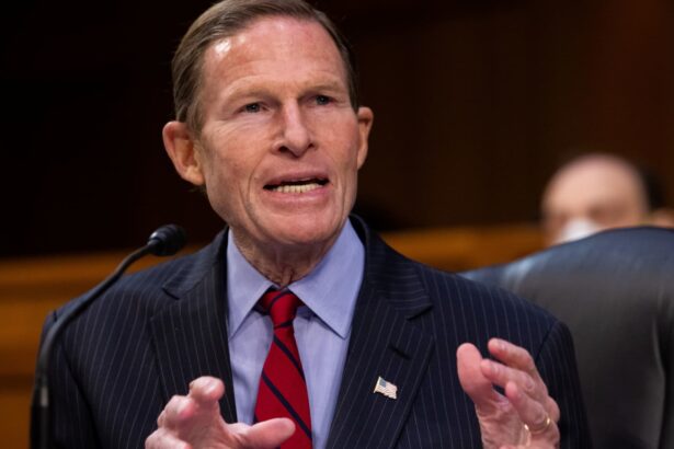 Sen. Blumenthal asks Visa for details on Elon Musk X payments deal