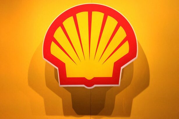 Shell mulls sale of European, US chemicals assets, WSJ reports