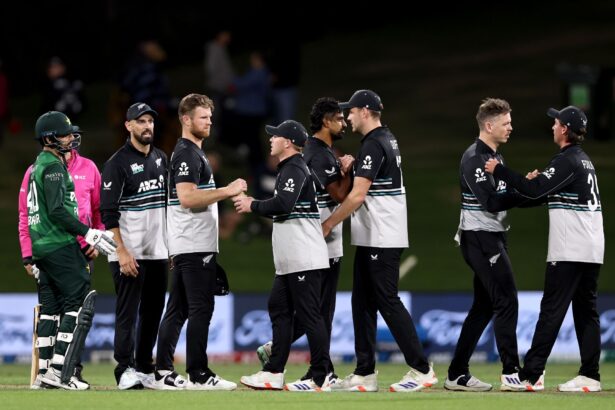 Sky Stadium, Wellington, pitch history and T20I records