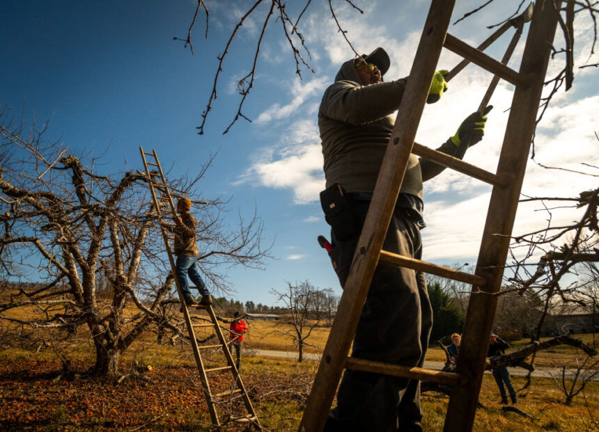 Slim margins, climate disasters, and Trump’s funding freeze: Life or death for many US farms