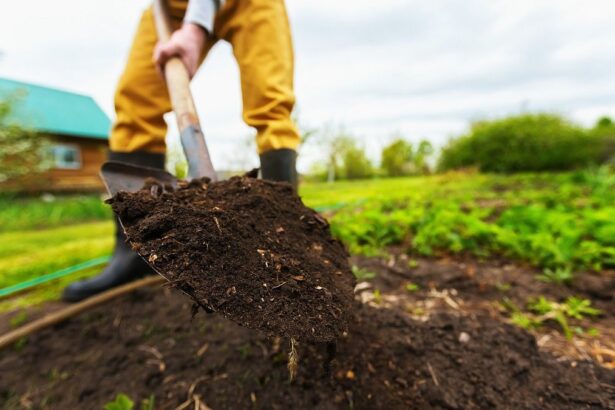 Soil Solarization for Weed Control