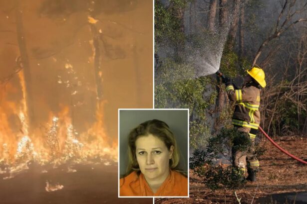 South Carolina woman, Alexandra Bialousow, arrested for igniting massive wildfire in Myrtle Beach area