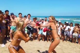 Spring Break Gone Wild! Bikini-Clad Spring Breakers Participate in Illegal Boxing Match – With Crypto Bets (VIDEO) |