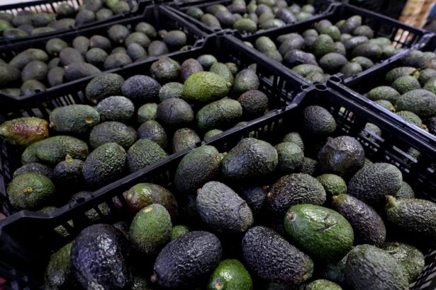 Tariffs won’t just hit your wallet. They could also increase food waste.