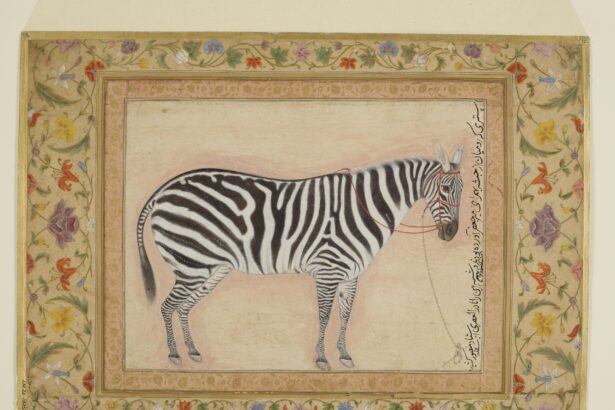 The Mughal Empire’s Paradise on Earth