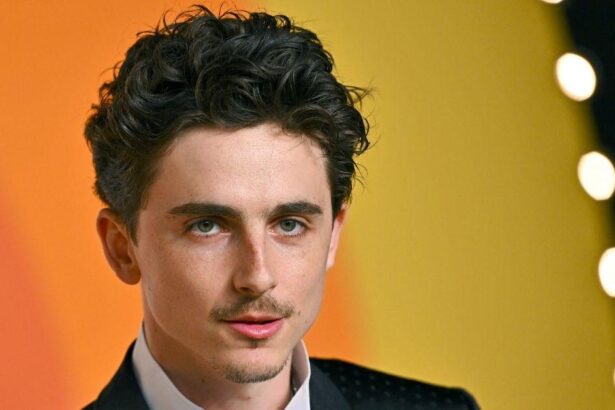 Timothée Chalamet’s Mysterious Journey Mirrors Bob Dylan’s Rise