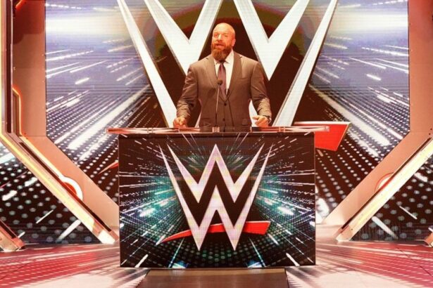 Triple H sends an important message ahead of huge WWE show debuting