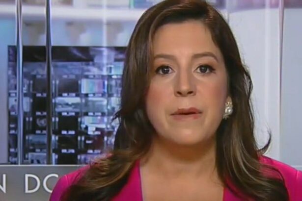 Trump Is So Scared Of Losing Special Election That He Sent Elise Stefanik Back To The House
