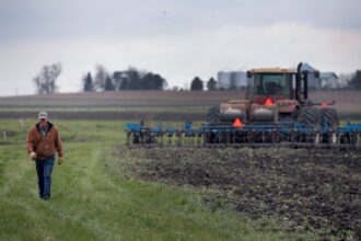 Trump’s fertilizer tariffs could disrupt US crop production, from tomatoes to corn