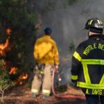 US South’s March Wildfires Signal Risks of a Dangerous Spring Fire Season