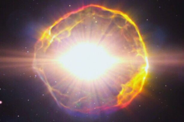 Violent Supernovae Could Have Triggered at Least 2 Extinction Events : ScienceAlert